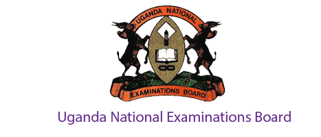 Stormsoft-Uganda-National-Examinations-Board